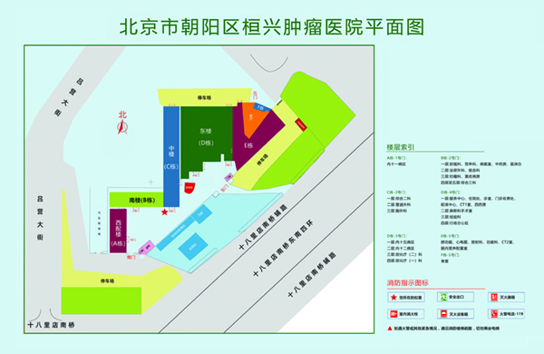 操老骚逼网址北京市朝阳区桓兴肿瘤医院平面图